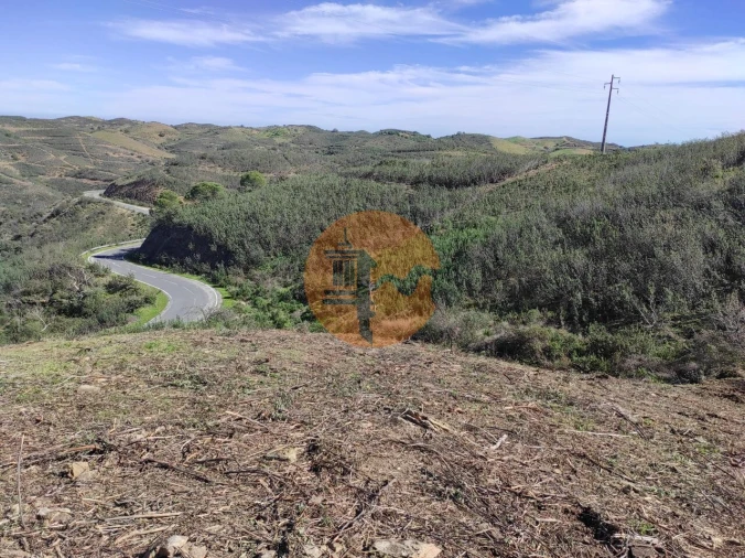 Terreno para Venda em Azinhal Foto 23