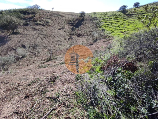Terreno para Venda em Azinhal Foto 24