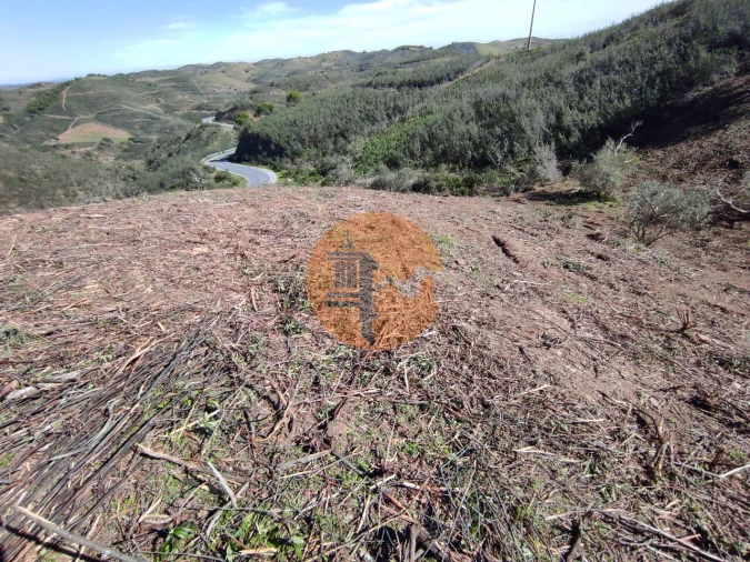 Terreno para Venda em Azinhal Foto 30