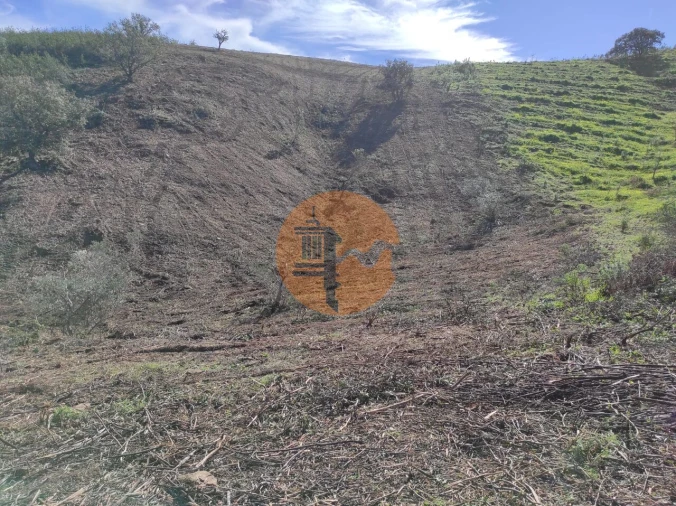 Terreno para Venda em Azinhal Foto 32
