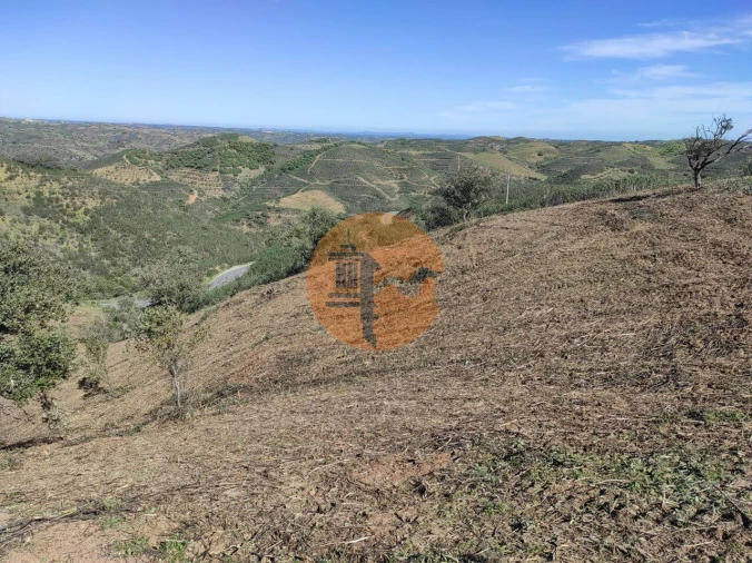 Terreno para Venda em Azinhal Foto 37