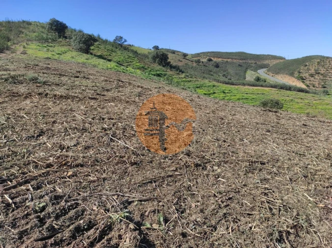 Terreno para Venda em Azinhal Foto 39