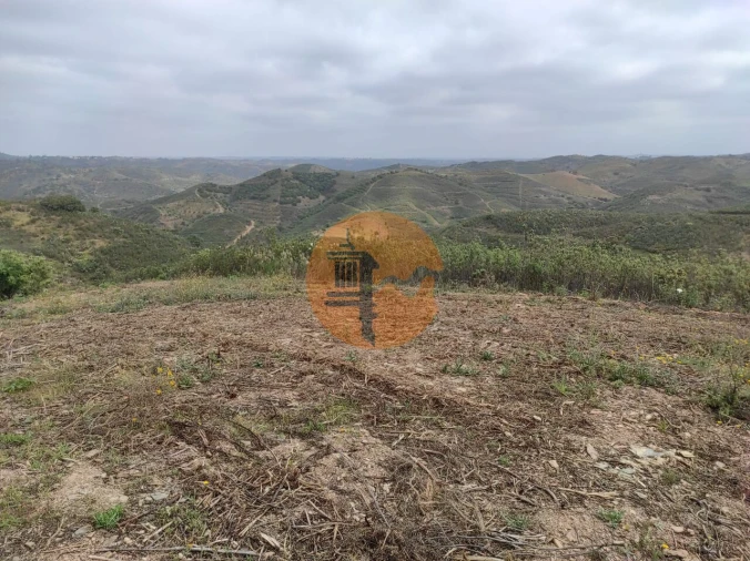 Terreno para Venda em Azinhal Foto 41