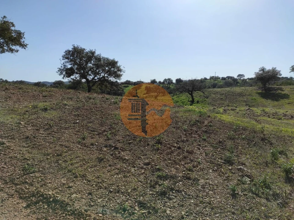Terreno para Venda em Azinhal Foto 7