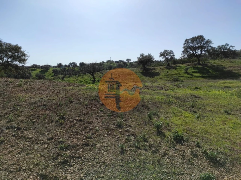 Terreno para Venda em Azinhal Foto 8