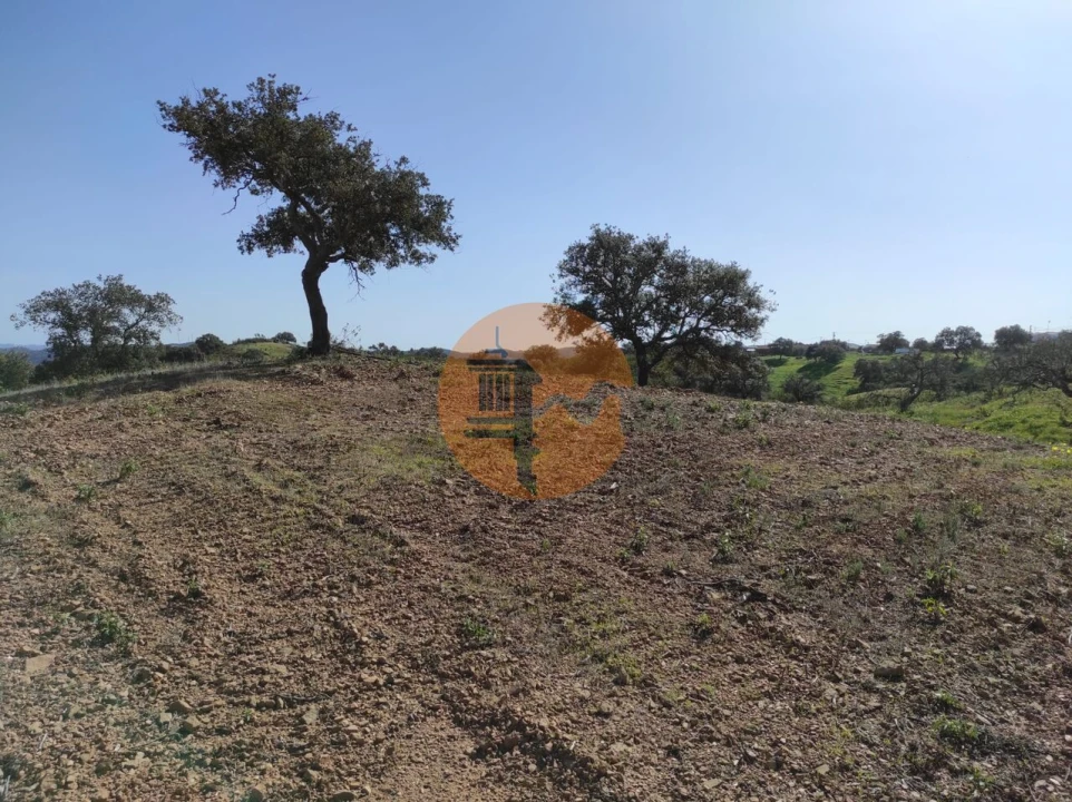 Terreno para Venda em Azinhal Foto 9
