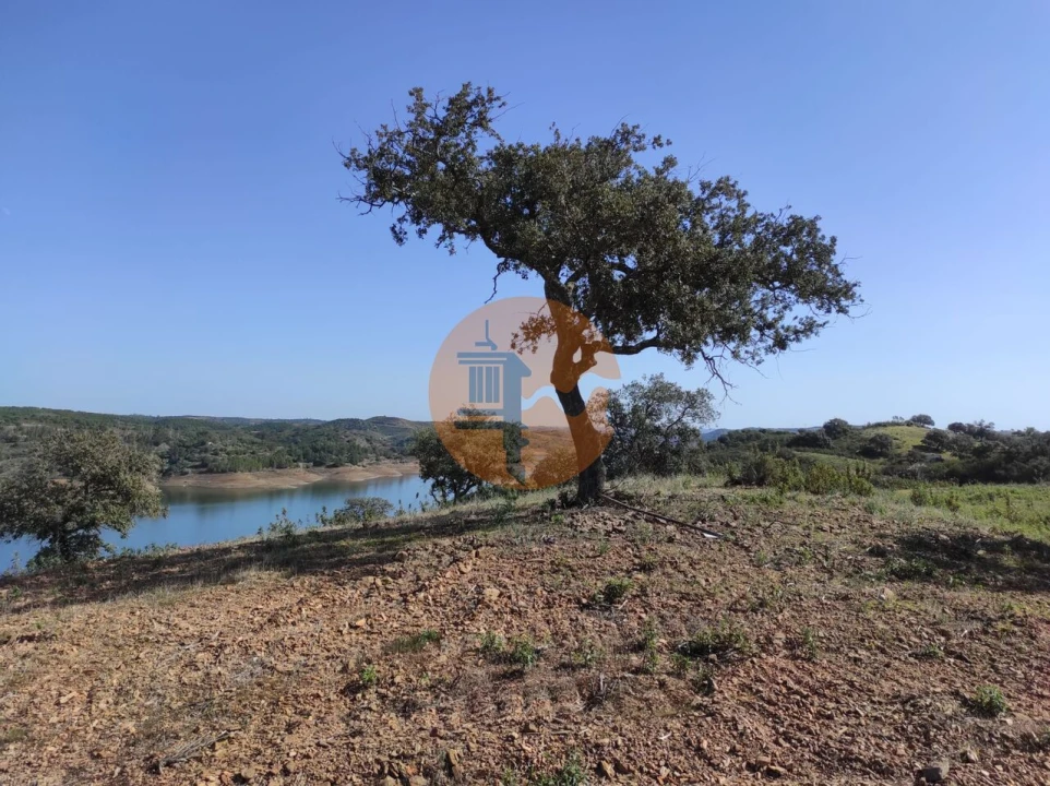 Terreno para Venda em Azinhal Foto 10