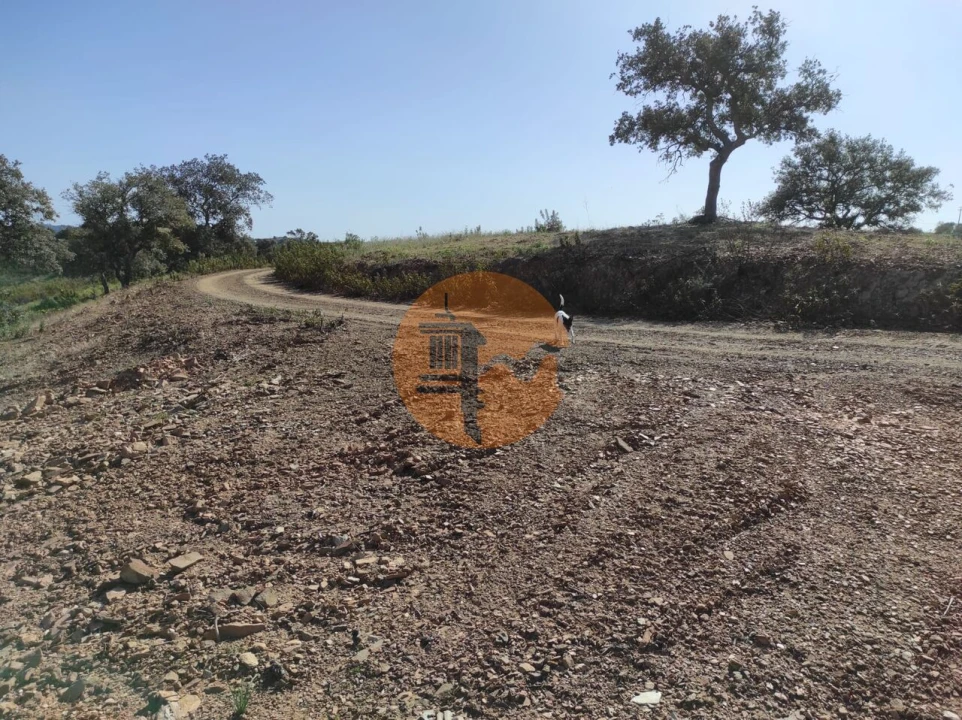 Terreno para Venda em Azinhal Foto 14