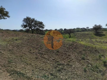 Terreno para Venda em Azinhal