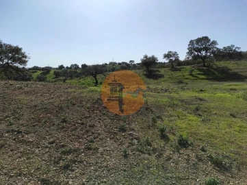 Terreno para Venda em Azinhal