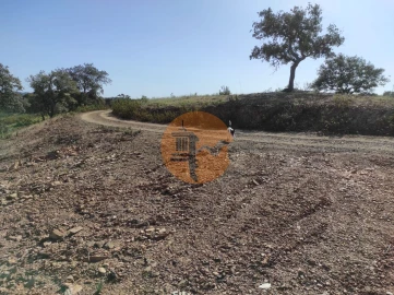 Terreno para Venda em Azinhal