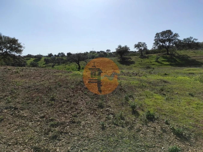 Terreno para Venda em Azinhal Foto 8