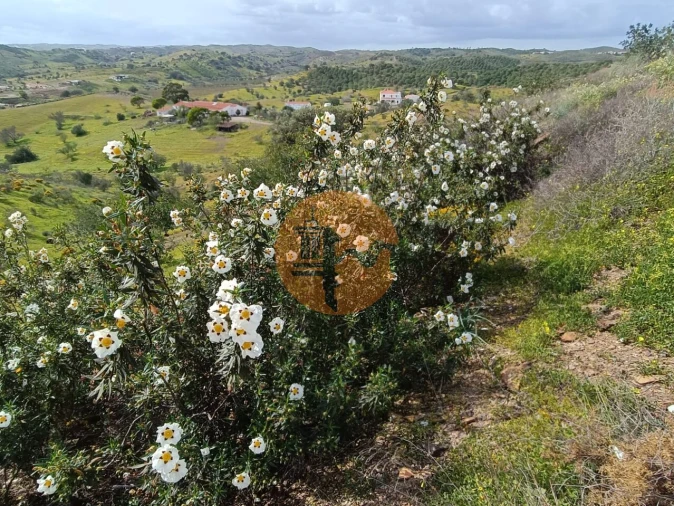 Terreno para Venda em Castro Marim Foto 4