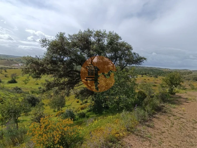 Terreno para Venda em Castro Marim Foto 3