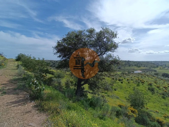 Terreno para Venda em Castro Marim Foto 17