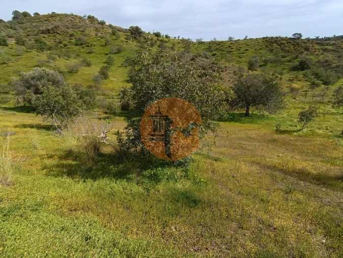 Terreno para Venda em Castro Marim Foto 28