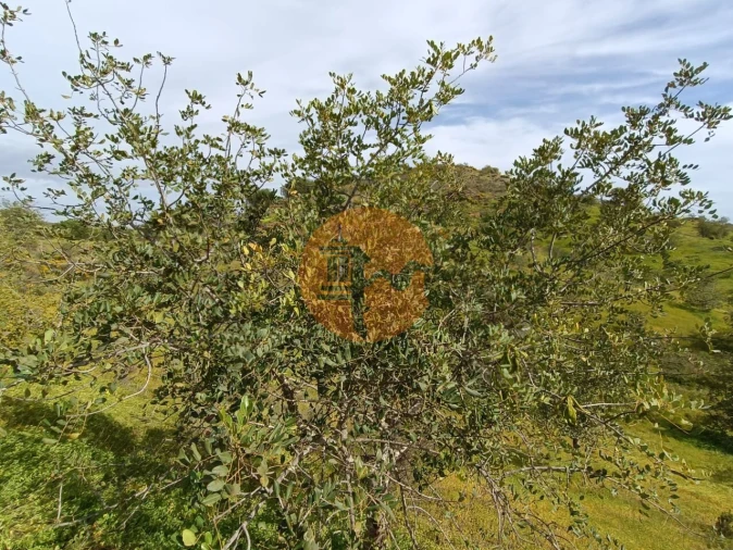 Terreno para Venda em Castro Marim Foto 29