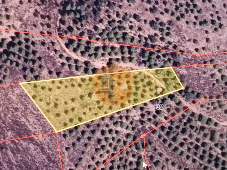 Terreno para Venda em Odeleite Foto 2