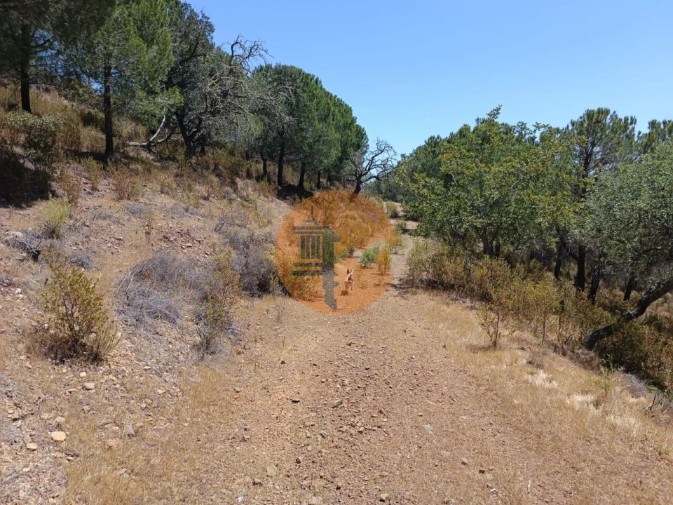 Terreno para Venda em Odeleite Foto 4