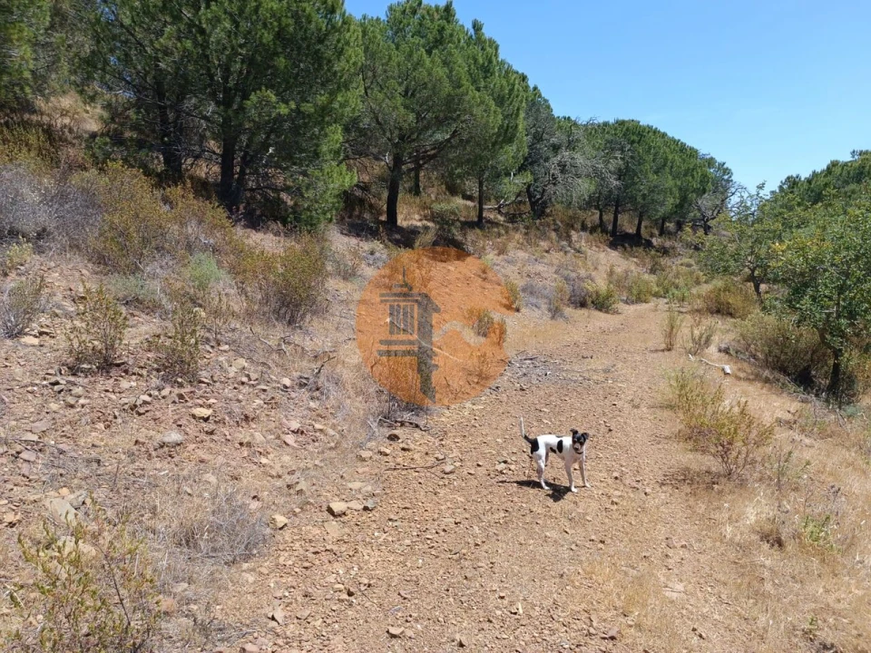 Terreno para Venda em Odeleite Foto 5