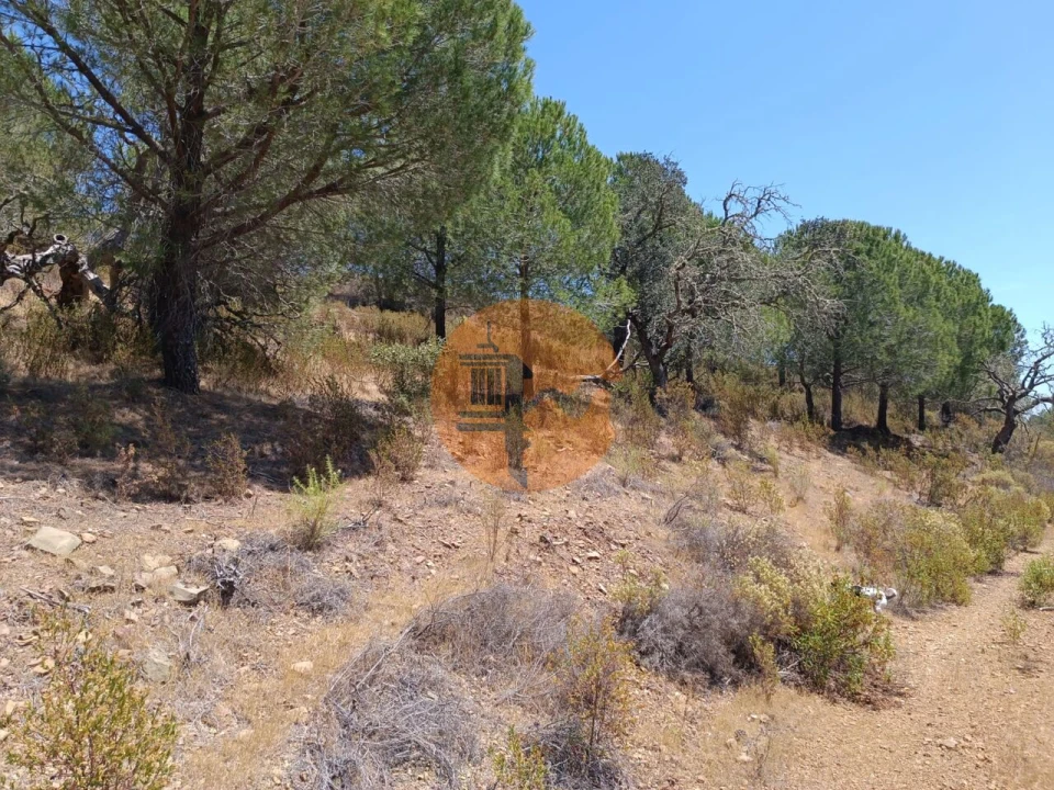 Terreno para Venda em Odeleite Foto 6