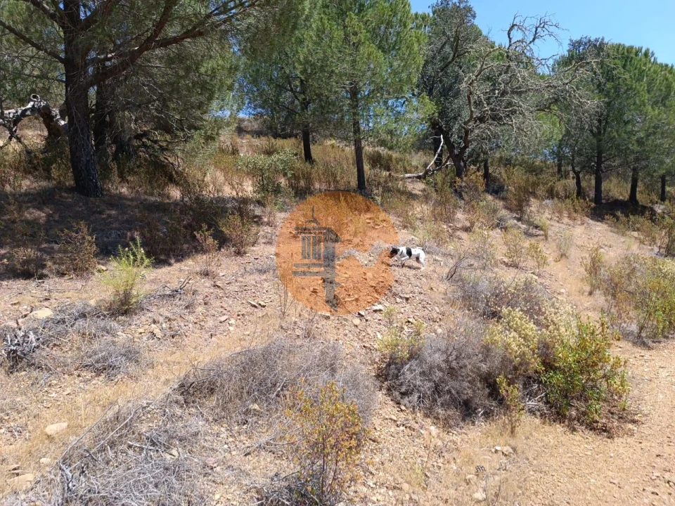 Terreno para Venda em Odeleite Foto 9