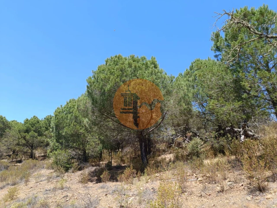 Terreno para Venda em Odeleite Foto 12