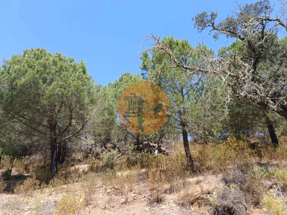 Terreno para Venda em Odeleite Foto 18