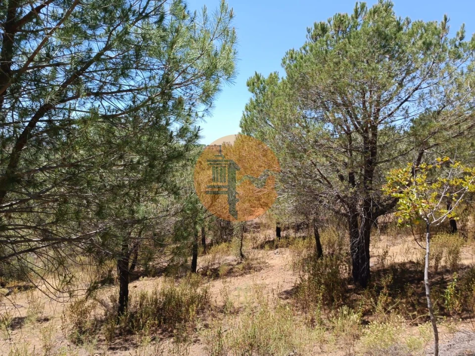 Terreno para Venda em Odeleite Foto 19