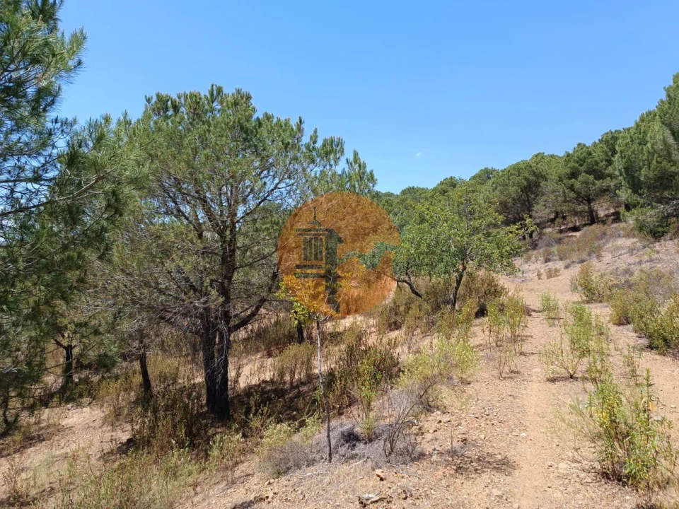 Terreno para Venda em Odeleite Foto 22