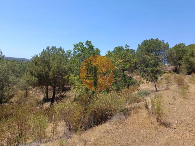 Terreno para Venda em Odeleite Foto 3