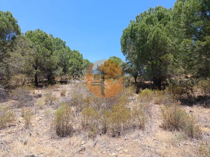 Terreno para Venda em Odeleite Foto 15