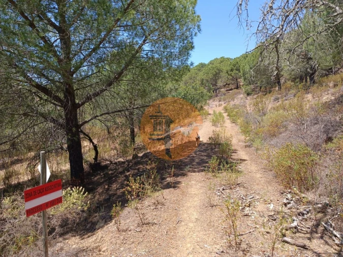 Terreno para Venda em Odeleite Foto 17