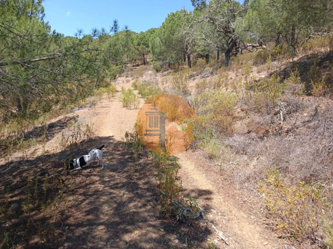 Terreno para Venda em Odeleite Foto 20