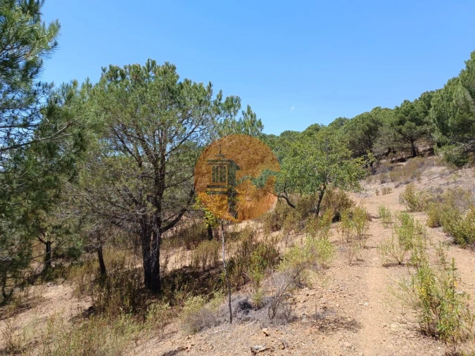 Terreno para Venda em Odeleite Foto 22