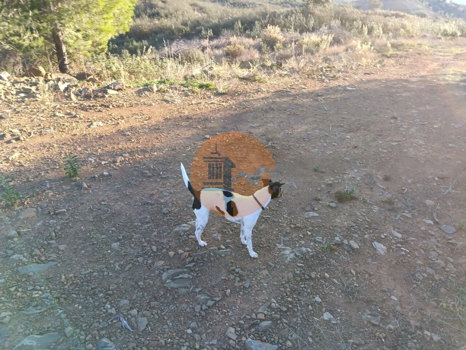 Terreno para Venda em Castro Marim Foto 21