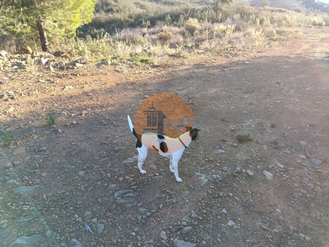 Terreno para Venda em Castro Marim Foto 21