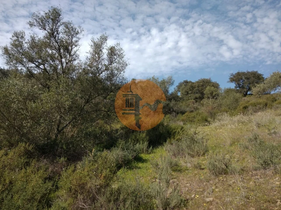 Terreno para Venda em Odeleite Foto 9