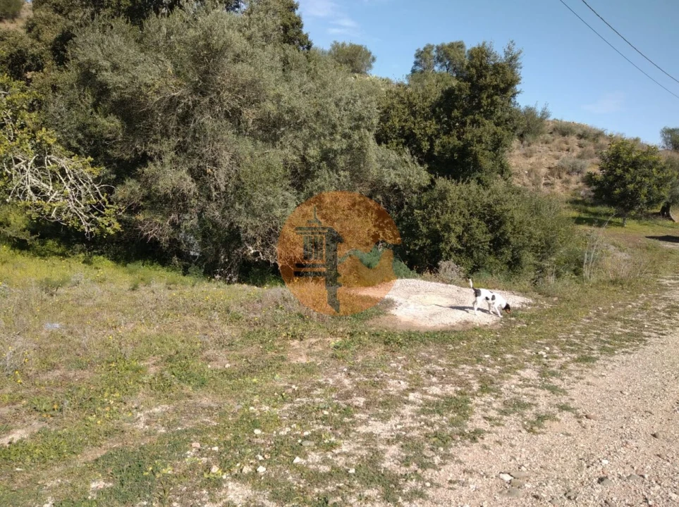 Terreno para Venda em Odeleite Foto 26