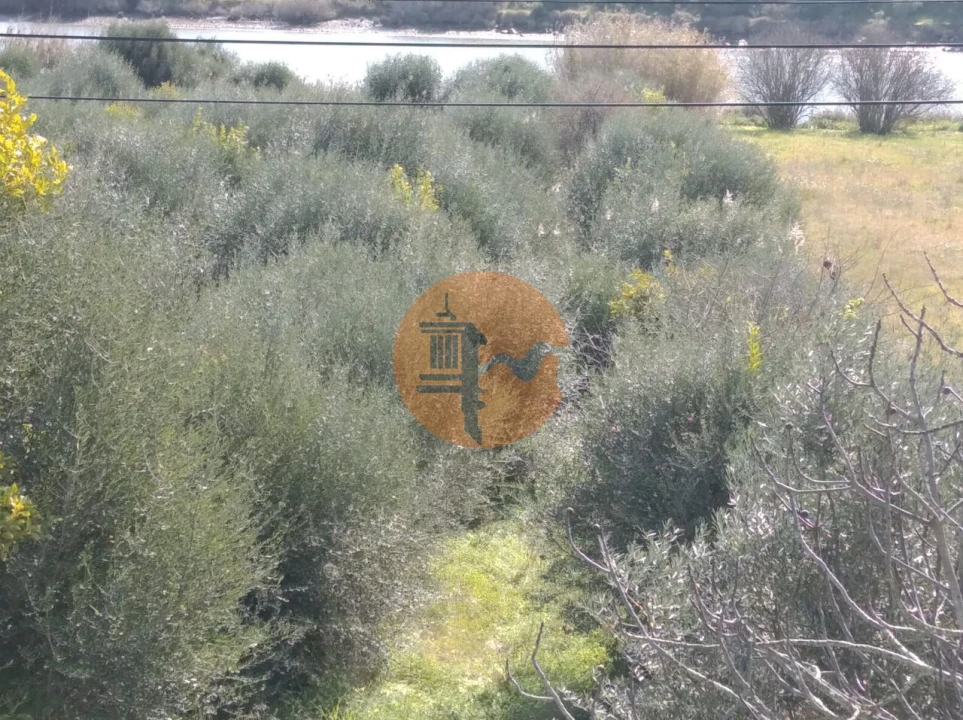 Terreno para Venda em Odeleite Foto 27