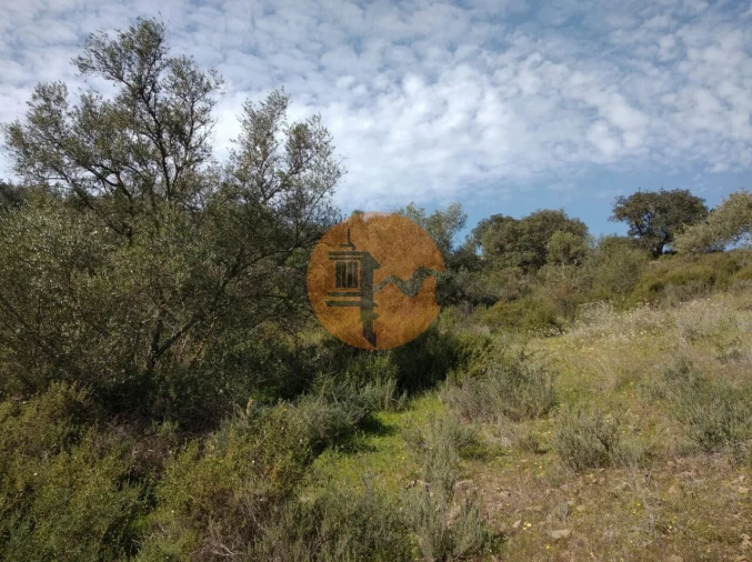 Terreno para Venda em Odeleite Foto 9