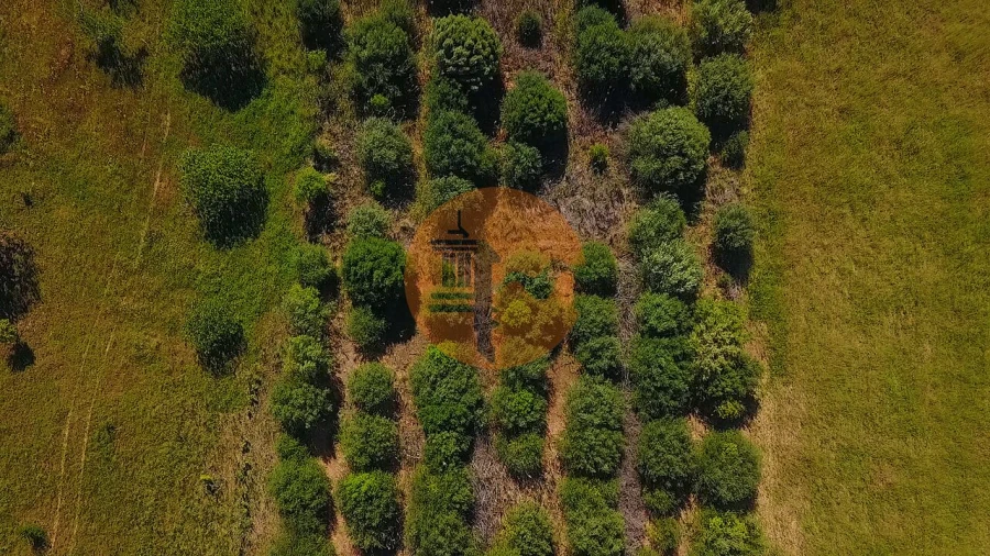 Terreno para Venda em Odeleite Foto 37