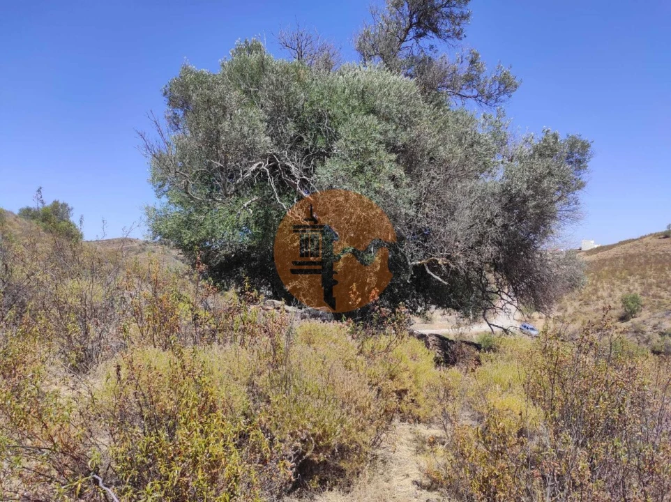 Terreno para Venda em Castro Marim Foto 7