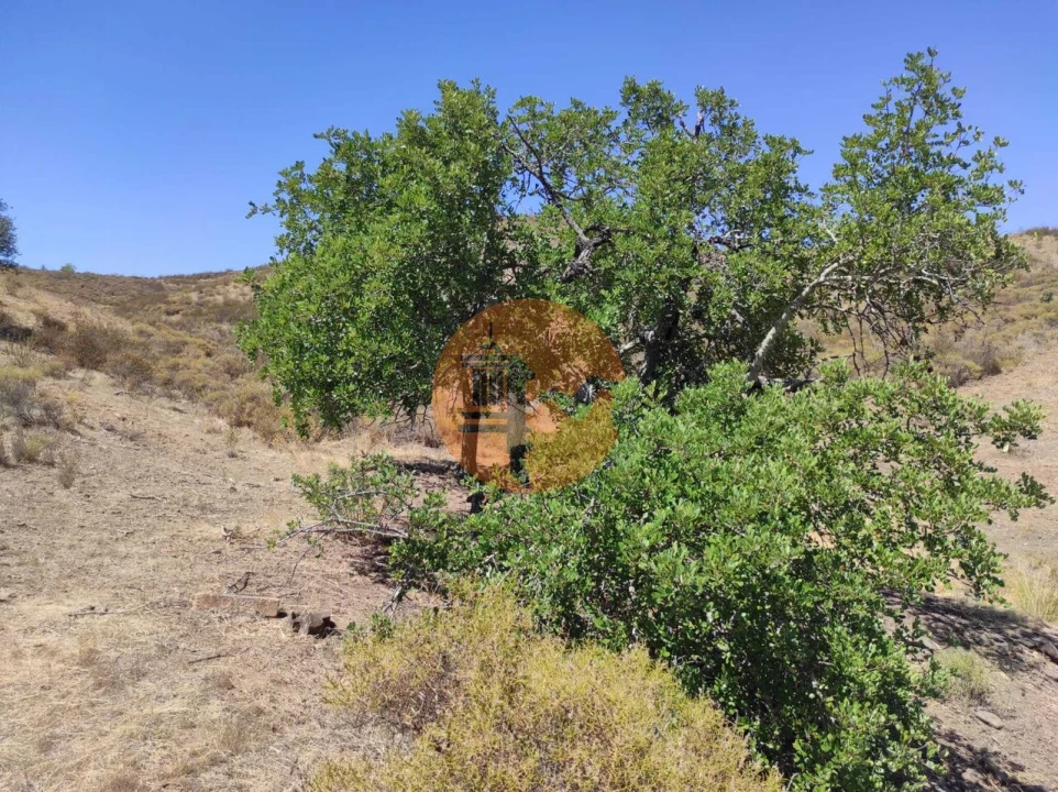 Terreno para Venda em Castro Marim Foto 19