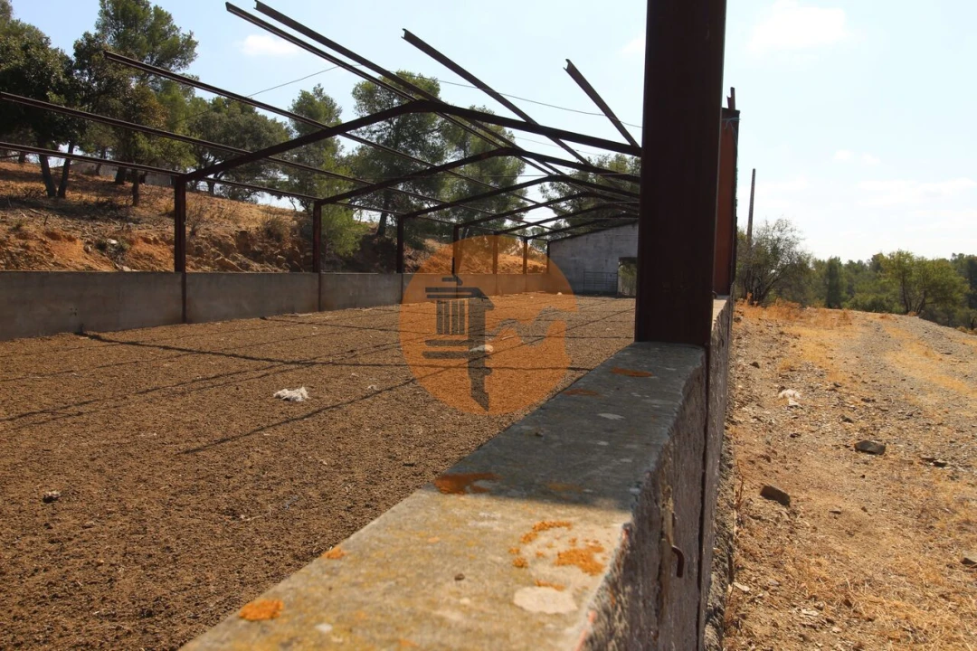 Negócio para Venda em Azinhal Foto 10