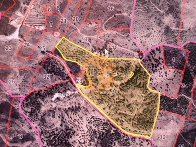 Negócio para Venda em Azinhal Foto 13