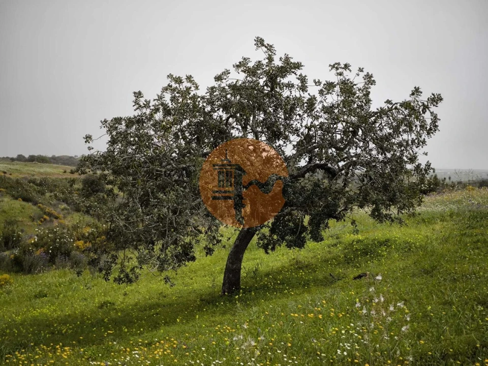 Terreno para Venda em Castro Marim Foto 27