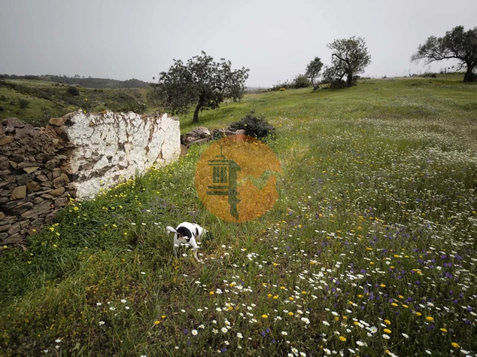 Terreno para Venda em Castro Marim Foto 28