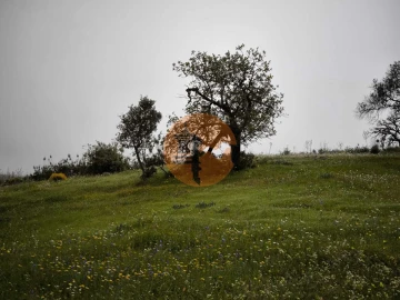 Terreno para Venda em Castro Marim