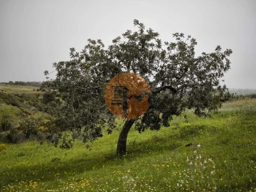 Terreno para Venda em Castro Marim